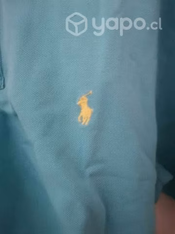 Polera/Camisa Polo
