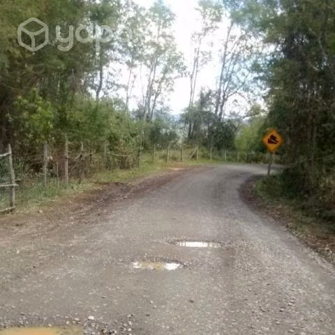 Terreno