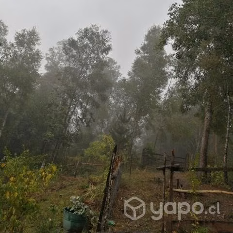 Terreno - Imagen 4