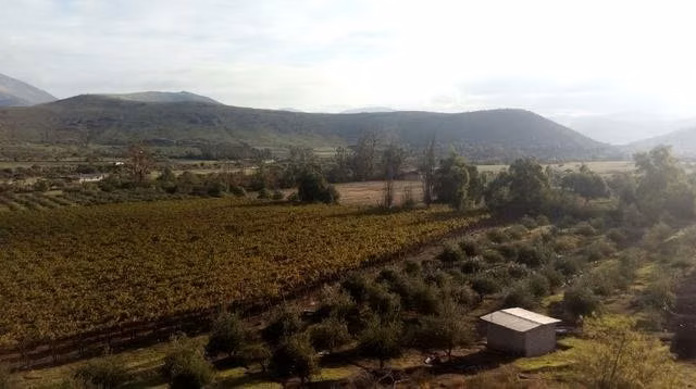 parcela