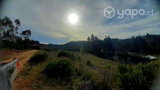Parcela de 5000 mts2 sector Cancha Montero - Imagen 3