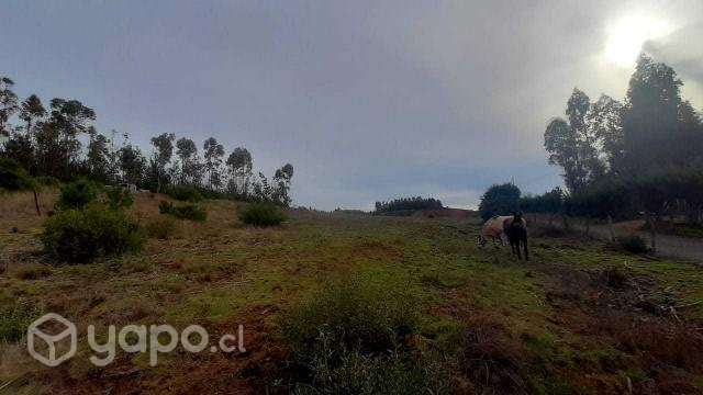 Parcela de 5000 mts2 sector Cancha Montero - Imagen 13