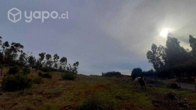 Parcela de 5000 mts2 sector Cancha Montero - Imagen 14