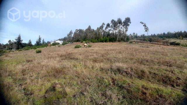 Parcela de 5000 mts2 sector Cancha Montero - Imagen 5