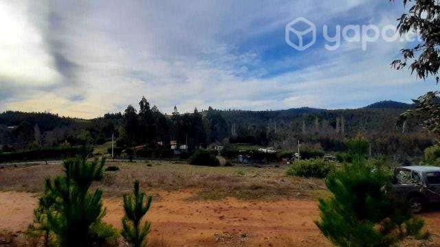 Parcela de 5000 mts2 sector Cancha Montero - Imagen 20