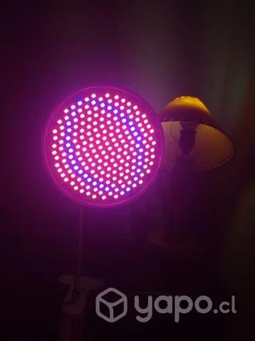 Lámpara de luz LED cultivo Grow
