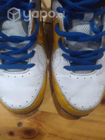 Zapatillas de básquetbol