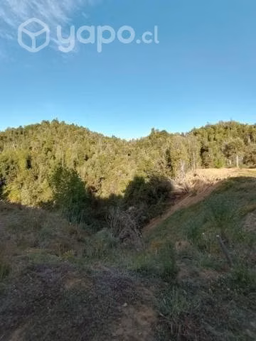 Terreno con casa - Imagen 2