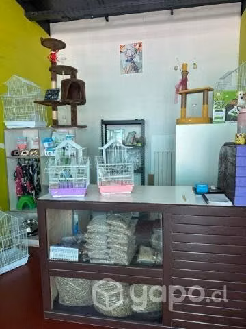Local de mascota