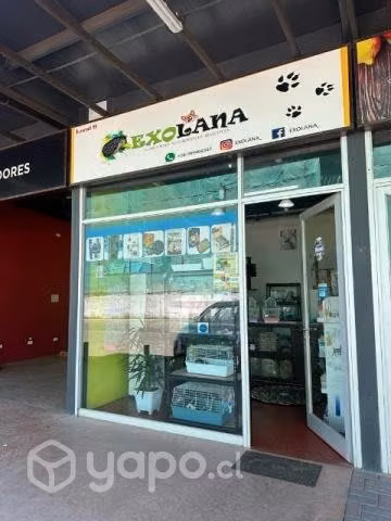 Local de mascota
