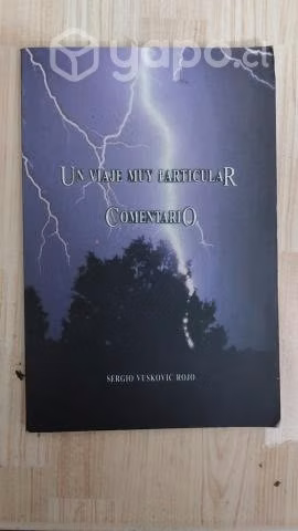 Un viaje muy paricular por Sergio Vuskovic