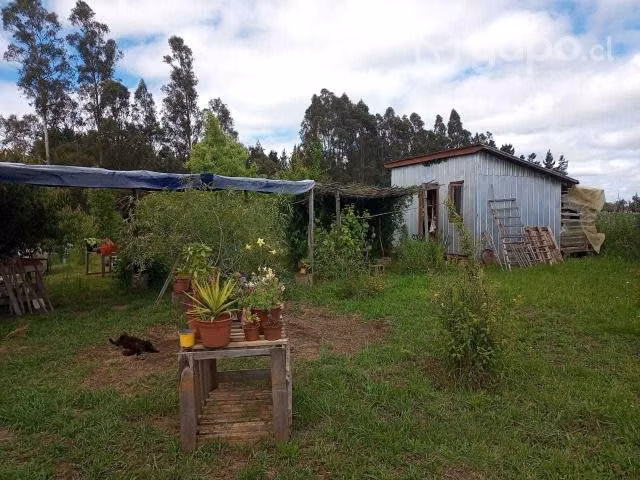 terreno de 5,29 hectáreas con casa - Imagen 5
