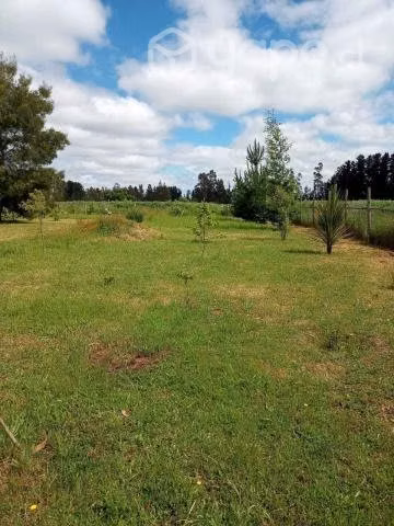 terreno de 5,29 hectáreas con casa - Imagen 2