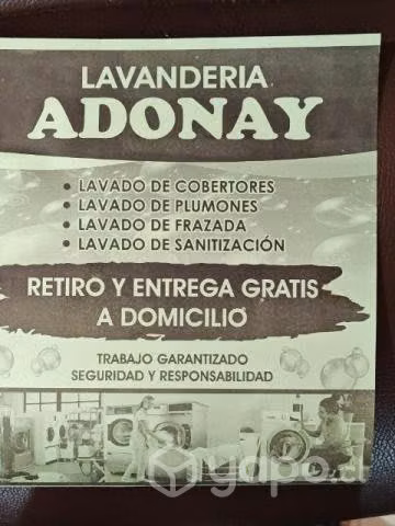 Lavado de cobertores retiro y entrega gratis.
