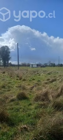 Sitio con cabaña
