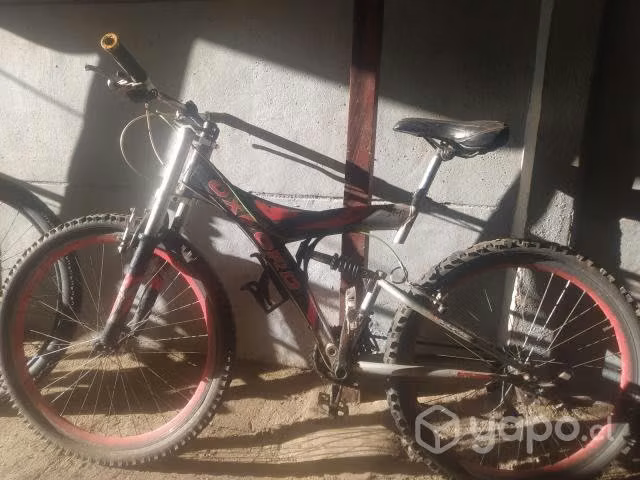 Bicicleta