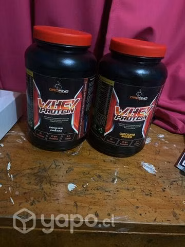 Proteina en polvo