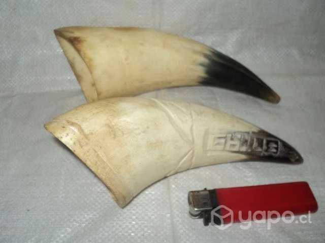 6 Antiguas Artesanías En Cacho y Pezuña De Vaca