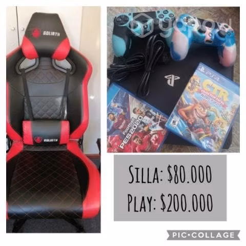 Se venden por mudanza