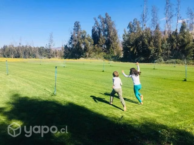 Pasto alfombra desde 20 metros cuadrados AGROPARK