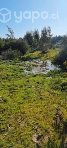 Vendemos un lugar maravilloso