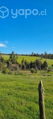 Vendemos un lugar maravilloso