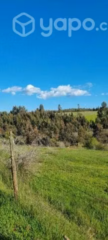 Vendemos un lugar maravilloso