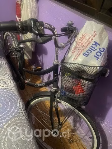 bicicleta