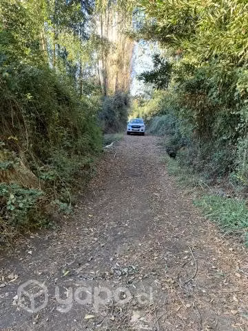 Hermosas parcelas en San Carlos Ñuble