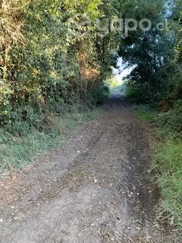 Hermosas parcelas en San Carlos Ñuble