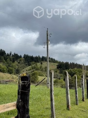 Campo agrícola - forestal chileno con rio