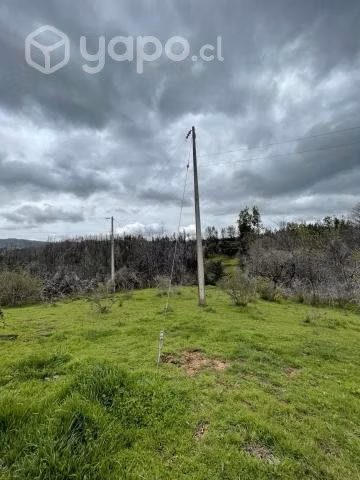 Campo agrícola - forestal chileno con rio - Imagen 19