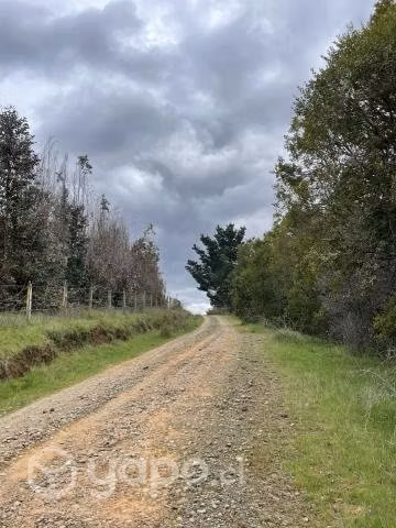Campo agrícola - forestal chileno con rio - Imagen 13