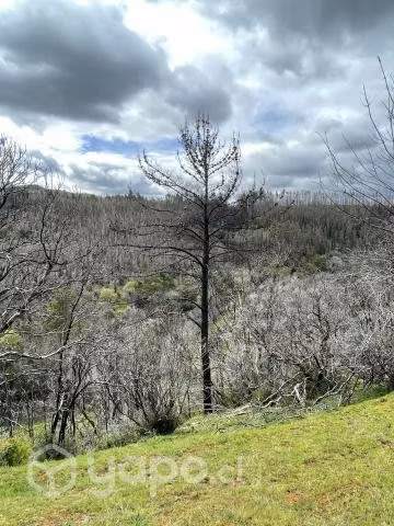 Campo agrícola - forestal chileno con rio - Imagen 5