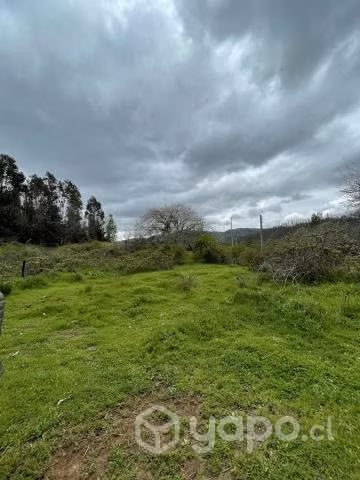 Campo agrícola - forestal chileno con rio - Imagen 20
