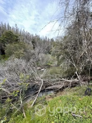 Campo agrícola - forestal chileno con rio - Imagen 16