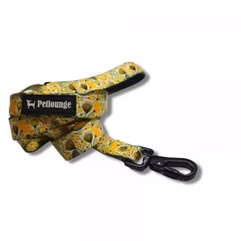 Correa M/L/XL. Petlounge