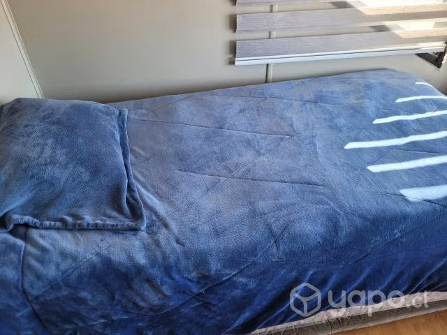 Cama nido