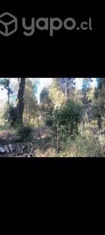 Parcela Vilcún