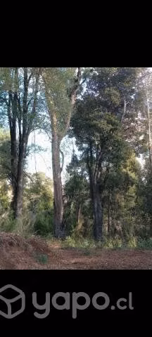 Parcela Vilcún - Imagen 4