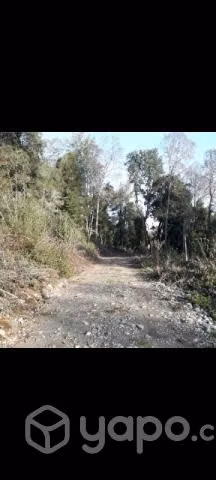 Parcela Vilcún - Imagen 12