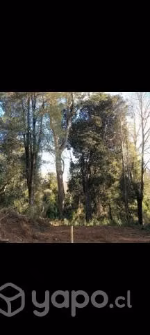 Parcela Vilcún - Imagen 13