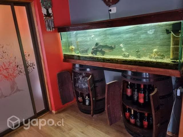 Acuario