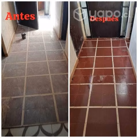 Limpieza profunda y mantención en general