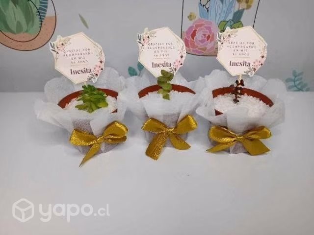 Recuerdos Eventos y Ceremonias Suculentas