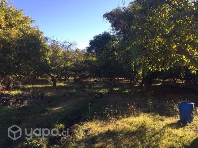 Vendo parcela en huintil IV region