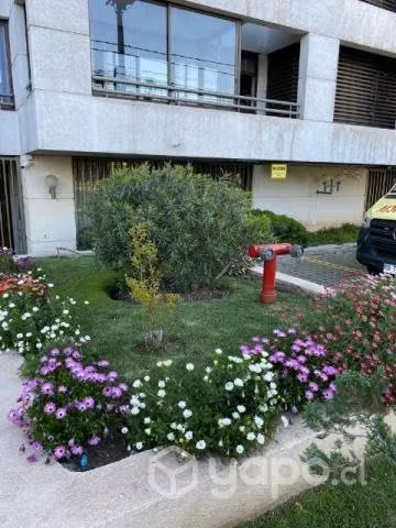 VENTA ESTACIONAMIENTO LUGAR RESiDENCIA - Imagen 5