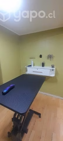 Peluquería canina
