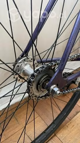 Fixie Sparton 54x54