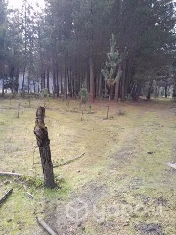 Vendo terreno